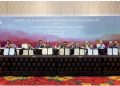 ACE-CASE-ETP Jalin Kemitraan Kuat untuk Mendorong Kemajuan ASEAN Power Grid