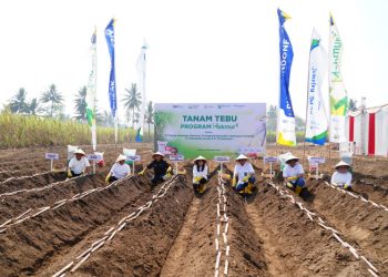 Petrokimia Gresik Lanjutkan Tren Positif Makmur Dan Berkontribusi Dalam Pertahankan Predikat Jawa Timur Sebagai Lumbung Gula Nasional