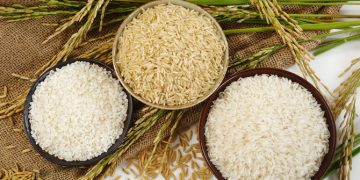 Badan Pangan Dorong Peningkatan Produksi Gabah dan Beras