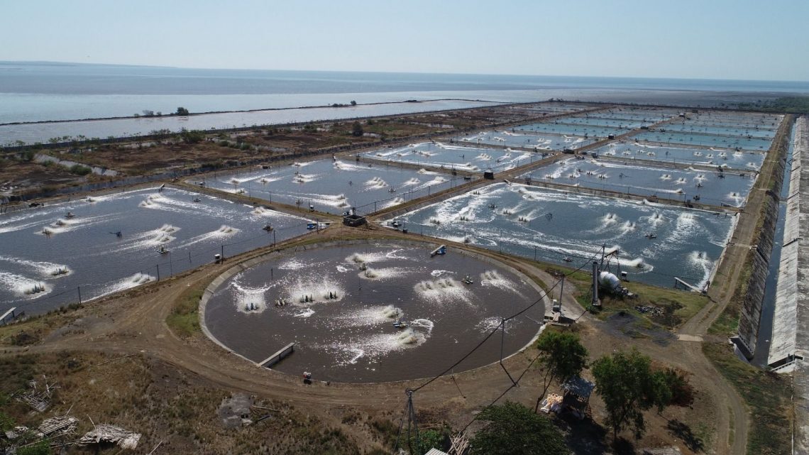 Dorong Praktik Budidaya Berkelanjutan, Bumi Menara Internusa Berdayakan Masyarakat Pesisir