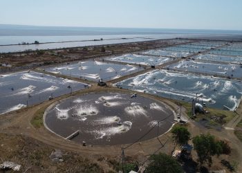 Dorong Praktik Budidaya Berkelanjutan, Bumi Menara Internusa Berdayakan Masyarakat Pesisir