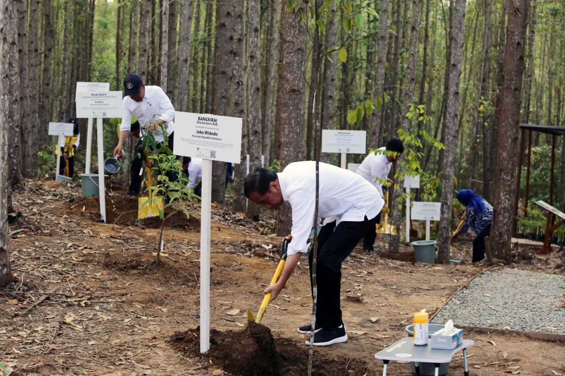 Presiden Joko Widodo Mengunjungi Pembangunan Miniatur Hutan Hujan Tropis diIbu Kota Nusantara Hasil Kerjasama Otorita IKN dan PT Tirta Investama