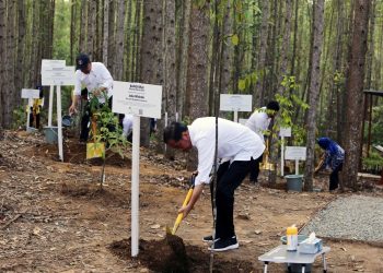 Presiden Joko Widodo Mengunjungi Pembangunan Miniatur Hutan Hujan Tropis diIbu Kota Nusantara Hasil Kerjasama Otorita IKN dan PT Tirta Investama