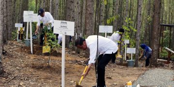 Presiden Joko Widodo Mengunjungi Pembangunan Miniatur Hutan Hujan Tropis diIbu Kota Nusantara Hasil Kerjasama Otorita IKN dan PT Tirta Investama