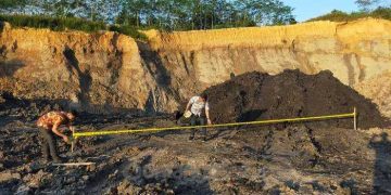 Pembentukan Satgas Tambang Ilegal Tunggu Keputusan Presiden Jokowi