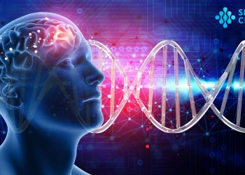Masa Depan Cerah Terapi Stem Cell di Indonesia