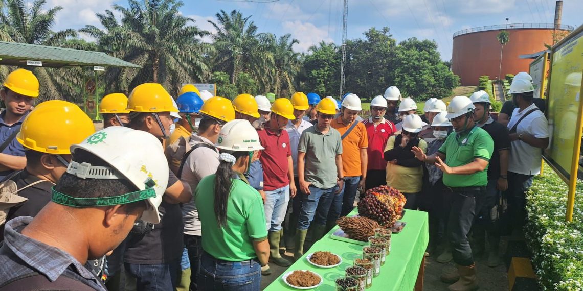 Dorong Sustainable Banking, BSI Dukung Pembiayaan Sawit Bagi Petani Plasma