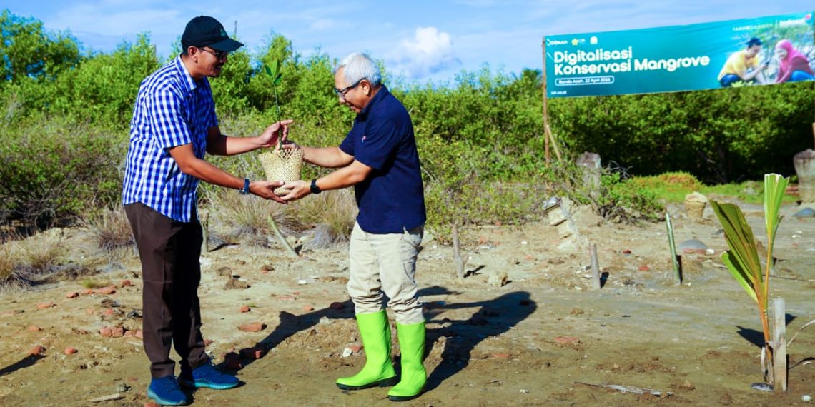 Indosat Ooredoo Hutchison Optimalkan Teknologi Untuk Konservasi Mangrove di Aceh