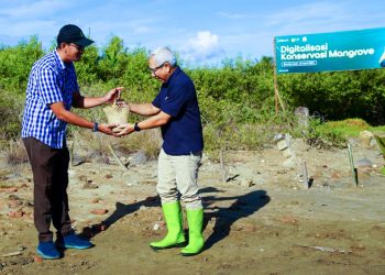 Indosat Ooredoo Hutchison Optimalkan Teknologi Untuk Konservasi Mangrove di Aceh