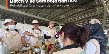 BNI Dukung Relawan Bakti BUMN ke Samboja dan IKN, Rehabilitasi Orangutan dan Mangrove