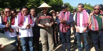 Dukung Perkembangan Pertanian & Pangan Dunia,Petrokimia Gresik Bersama Pupuk Indonesia Berhasil Tingkatkan Produktivitas Padi Di Timor Leste Hingga 7,5 Ton/Ha