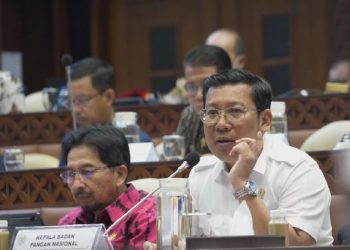 Bapanas Pastikan Pasokan Bahan Pokok Aman dan Harga Stabil Jelang Iduladha 2024