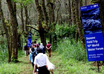 Danone Indonesia Dorong Kolaborasi Multisektor Wujudkan Pelestarian Sumber Daya Air Terintegrasi di DAS Ayung, Bali