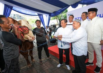 BTN Tebar 460 Ekor Hewan Kurban