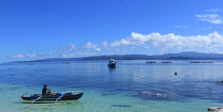 Indonesia-AS Setujui Debt Swap untuk Konservasi Laut Senilai Rp565,46 Miliar