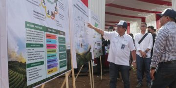 Petrokimia Gresik Melalui Program Makmur Besutan Erick Thohir Berhasil Tingkatkan Pendapatan Lebih Dari 166 Ribu Petani Du Seluruh Indonesia