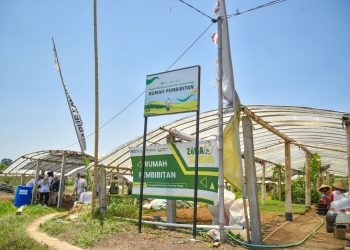 Tawangargo Smart-Eco Farming Village Berhasil Ubah Pusat Hortikulkutura Desa Tawangargo Jadi Contoh Masa Depan Pertanian Berkelanjutan