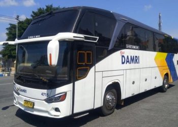 Damri Pastikan Tiket Transportasi Umum Tak Kena PPN 12 Persen