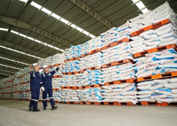 Distribusikan Pupuk Bersubsidi Mulai Awal Januari 2025,Petrokimia Gresik Siapkan Stok Lebih Dari 372 Ribu Ton