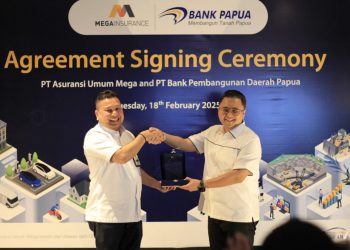 Mega Insurance dan Bank Papua: Meningkatkan Perlindungan Bisnis dan Aset Pribadi