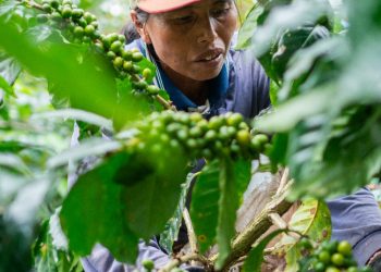 Kinerja Lingkungan dan Sosial Danone Indonesia Raih Apresiasi Global Gartner Power of the Profession – Supply Chain Awards