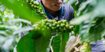 Kinerja Lingkungan dan Sosial Danone Indonesia Raih Apresiasi Global Gartner Power of the Profession – Supply Chain Awards