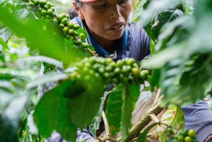 Kinerja Lingkungan dan Sosial Danone Indonesia Raih Apresiasi Global Gartner Power of the Profession – Supply Chain Awards