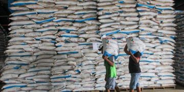 Realisasi Penyaluran Pupuk Subsidi Mencapai 2,8 Juta Ton