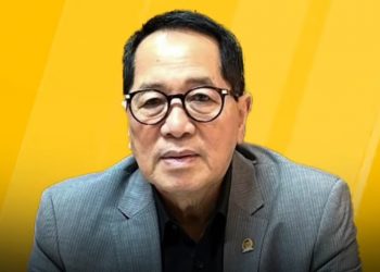 Bendera Bajak Laut Viral Jelang 17 Agustus, DPR: Bisa Masuk Kategori Makar