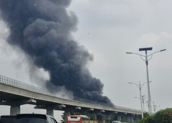 Kebakaran Terjadi di Sekitar Tol Jagorawi, Asap Tebal Terlihat dari LRT dan Jalan Tol