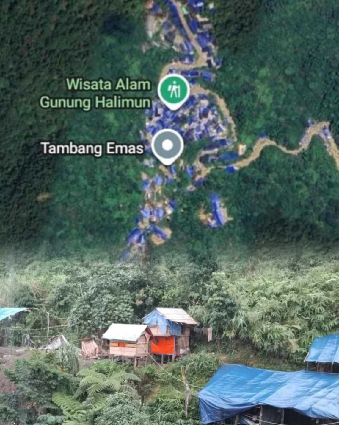 Gunung Halimun Salak Digerogoti Tambang Emas Ilegal, Kemenhut Temukan 411 Lubang
