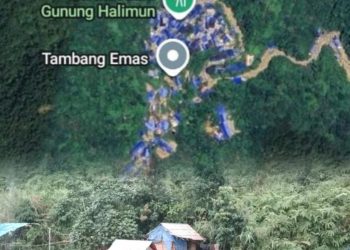 “Gunung Halimun Salak Digerogoti Tambang Emas Ilegal, Kemenhut Temukan 411 Lubang”