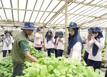 TAMENG Jadi Living Lab Pertanian Berkelanjutan Pertama di Malang, Dorong Inovasi dari Desa