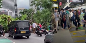 Pohon Roboh Ganggu Operasional MRT Jakarta Penumpang Berhasil Dievakuasi