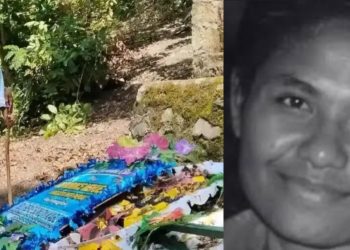 4 RS di Papua Diduga Langgar Prosedur, Ibu Hamil dan Bayinya Meninggal