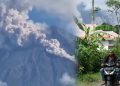 Erupsi Gunung Semeru Meningkat, Warga Mulai Mengungsi ke Titik Aman