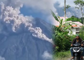 Erupsi Gunung Semeru Meningkat, Warga Mulai Mengungsi ke Titik Aman