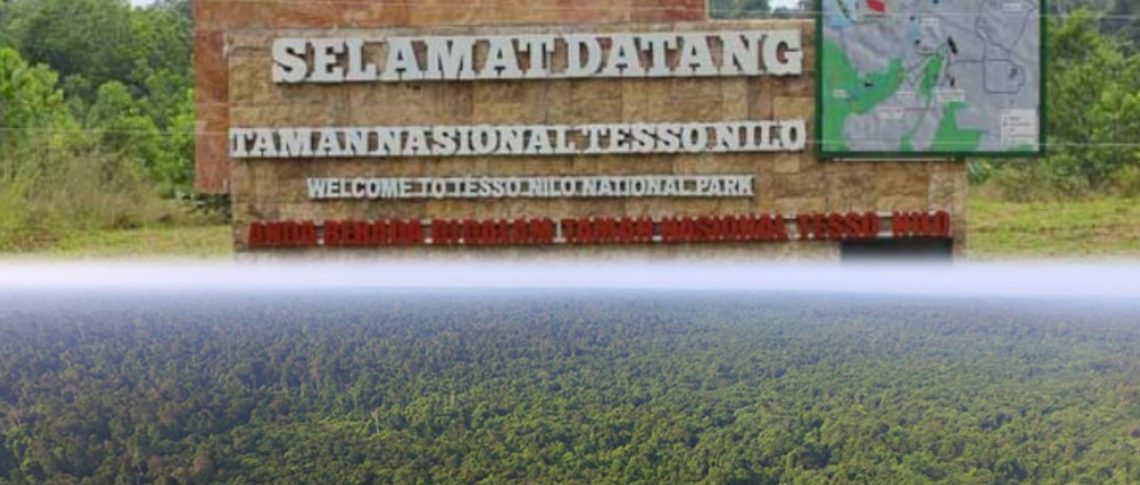 Pemerintah Diminta Bertindak Tegas Atasi Krisis Lingkungan di Tesso Nilo