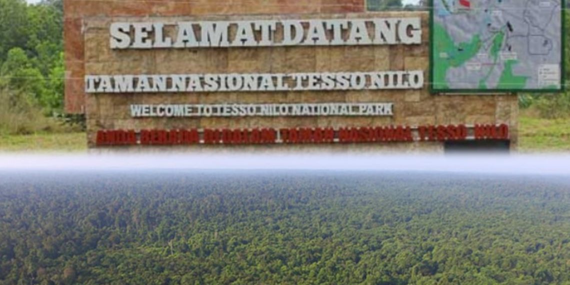 Pemerintah Diminta Bertindak Tegas Atasi Krisis Lingkungan di Tesso Nilo