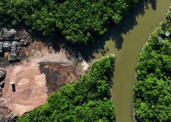 Krisis Iklim Ubah Hutan Amazon Menuju Kondisi Hipertropis yang Belum Pernah Terjadi