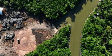 Krisis Iklim Ubah Hutan Amazon Menuju Kondisi Hipertropis yang Belum Pernah Terjadi