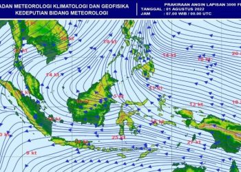 BMKG Pantau Siklon Tropis Grant yang Picu Gelombang Sedang di Perairan Selatan Indonesia