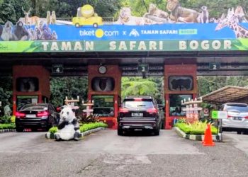 Liburan Akhir Tahun 2025 Makin Seru, Taman Safari Bogor Hadirkan Safari Malam