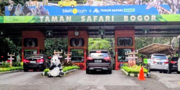 Liburan Akhir Tahun 2025 Makin Seru, Taman Safari Bogor Hadirkan Safari Malam