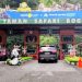 Liburan Akhir Tahun 2025 Makin Seru, Taman Safari Bogor Hadirkan Safari Malam