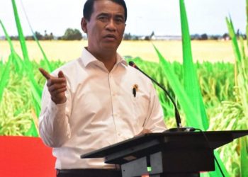 Harga Beras di Aceh Melonjak hingga Rp33 Ribu per Kg, Pemerintah Kirim Pasokan Darurat