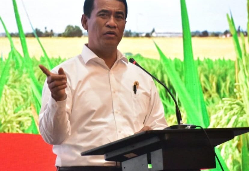 Harga Beras di Aceh Melonjak hingga Rp33 Ribu per Kg, Pemerintah Kirim Pasokan Darurat