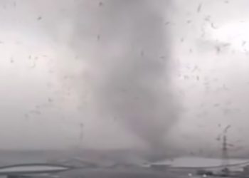 Puting Beliung Terjang Ancol, Pohon Tumbang dan Warga Sempat Panik