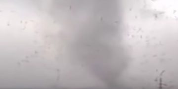 Puting Beliung Terjang Ancol, Pohon Tumbang dan Warga Sempat Panik