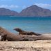 BBC Tetapkan Pulau Komodo sebagai Destinasi Wisata Terbaik Dunia 2026